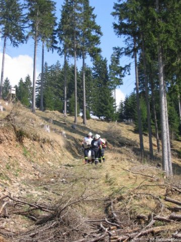 2009_04_10 Waldbrand Sieber 006